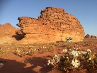 Jordan (Wadi Rum)